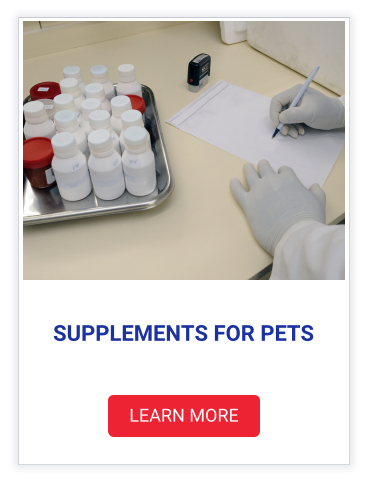SUPPLEMENTS FOR PETS LEARN MORE